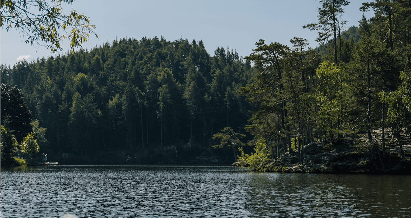 Travelling Sustainably. Absolutely!